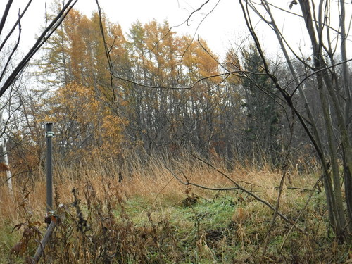 008.JPG