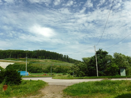 010.jpg