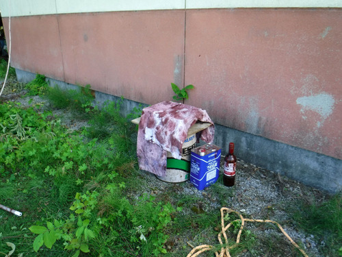 050.jpg