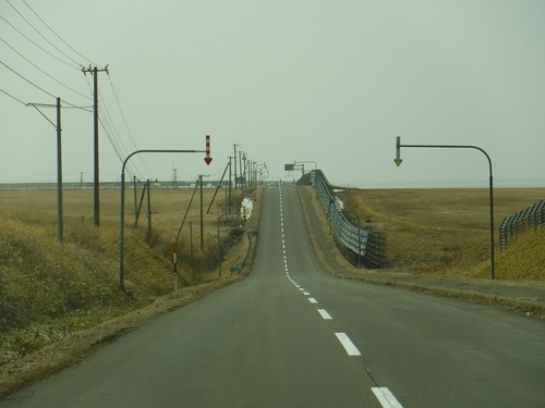 100.jpg