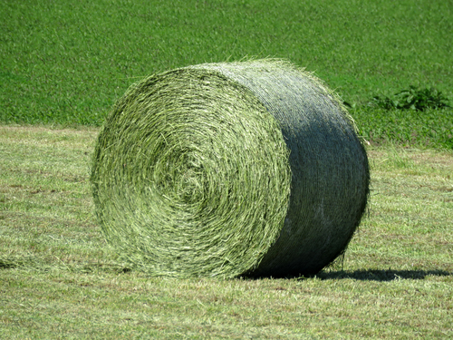 108.jpg