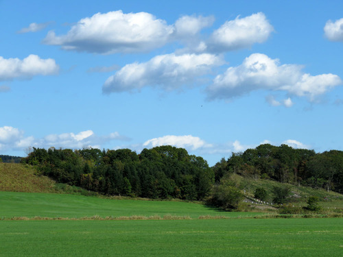 114.jpg