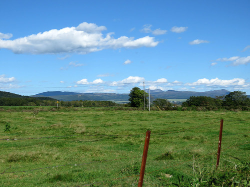 116.jpg