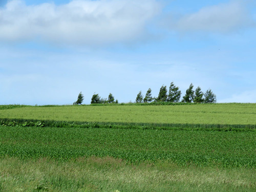 133.jpg