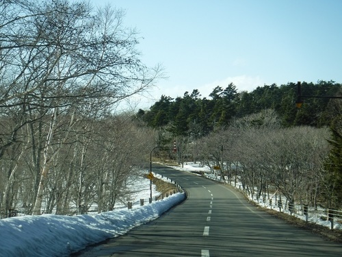 145.jpg