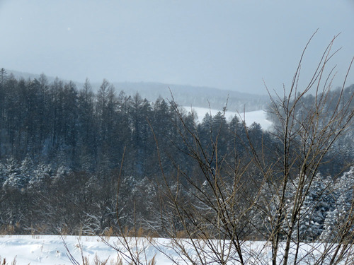 155.jpg