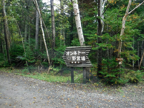 196.jpg