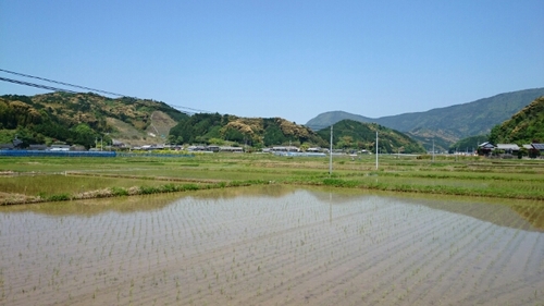 20160504114659293.jpg