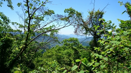 20160512112040707.jpg