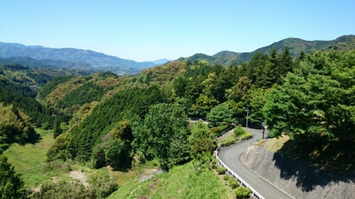 20160512144914628.jpg