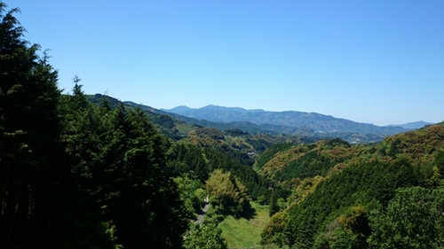 20160512144925301.jpg