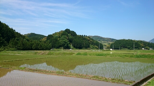 20160521113419933.jpg
