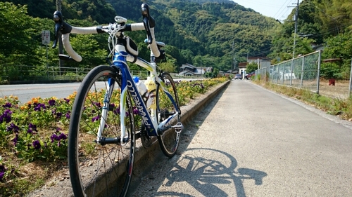 20160522095628361.jpg