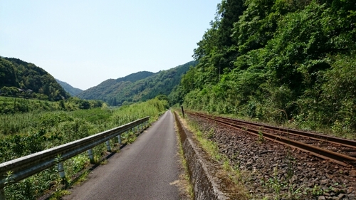 20160531111414738.jpg