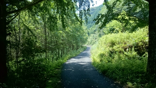 20160531111429241.jpg