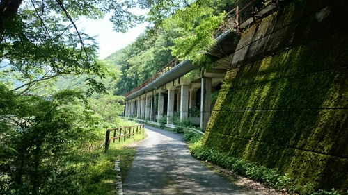 20160531130044051.jpg