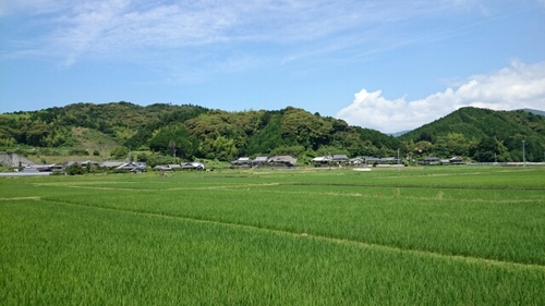 20160614121418775.jpg