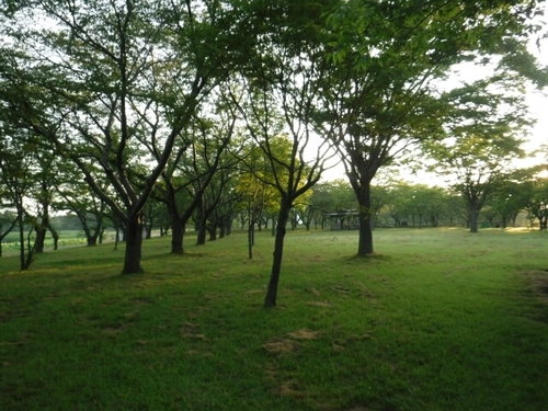 20160801074318844.jpg