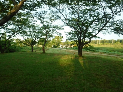 20160801074326662.jpg