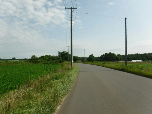 20160805163324883.jpg