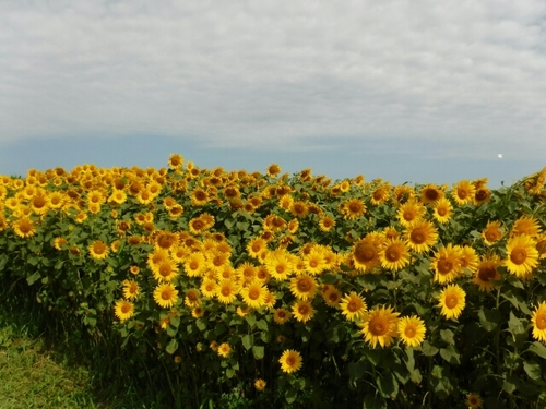 20160805164045112.jpg