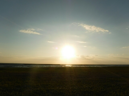20160809212131043.jpg