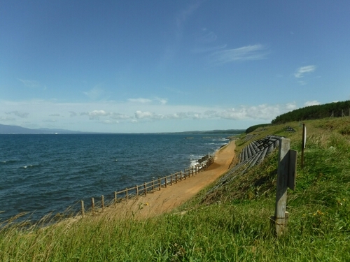 20160810160354452.jpg