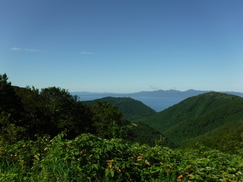 20160811133240241.jpg