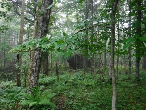 20160816172321844.jpg