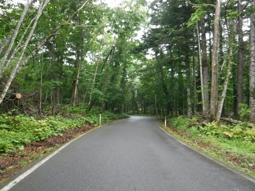 20160816172341748.jpg