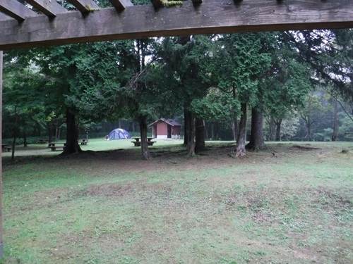 20160819083534691.jpg