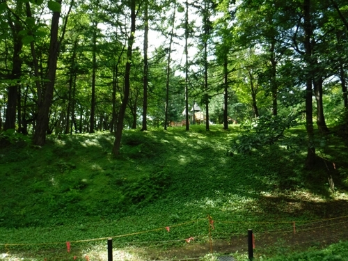 20160831210151451.jpg