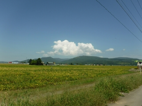 20160901162859156.jpg