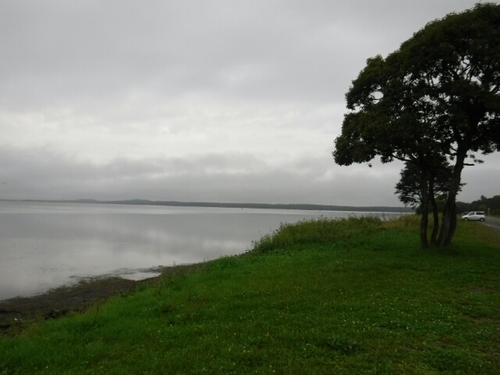 20160904163536147.jpg