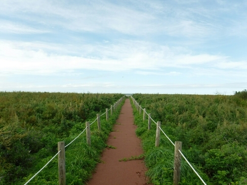 20160911193438993.jpg