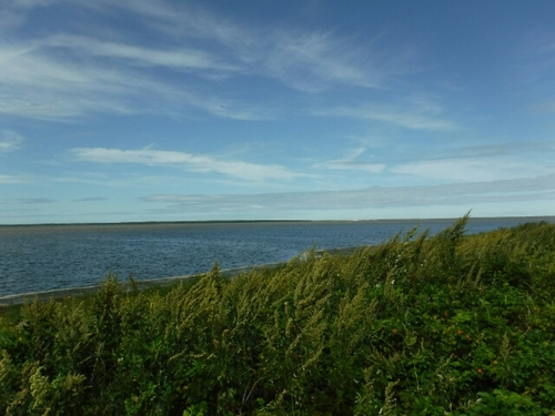 20160911193454149.jpg