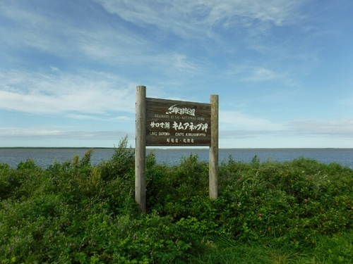 20160911194321938.jpg