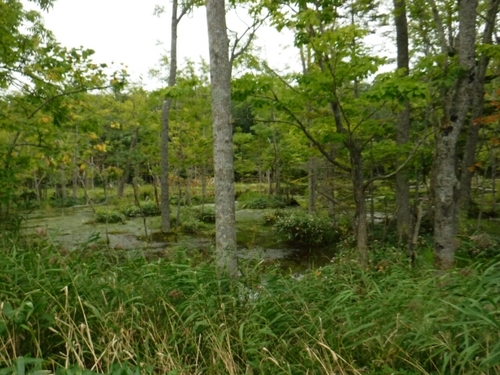 20160916173937059.jpg