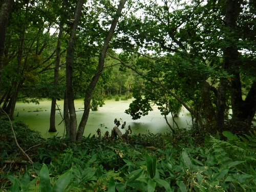 20160916173943773.jpg