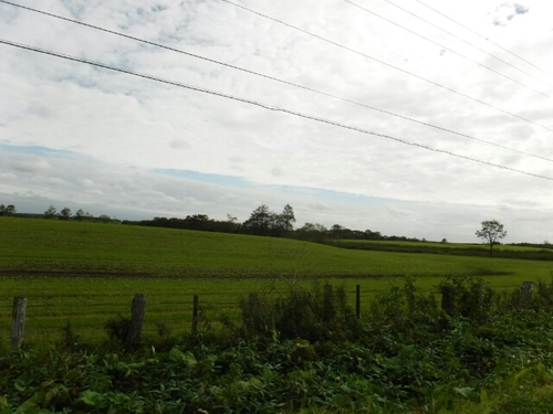 20160918193552623.jpg