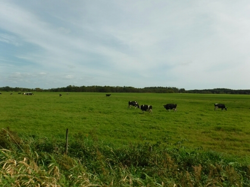 20160922161008178.jpg