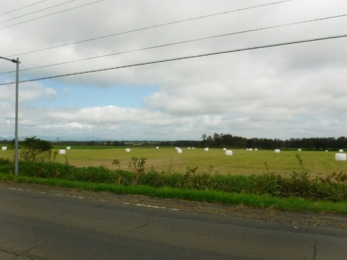 20160924162440052.jpg