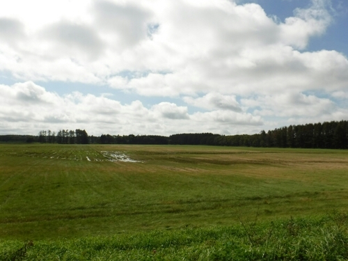 20160924163415143.jpg
