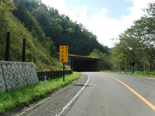 20160925174219996.jpg
