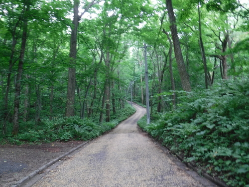 2016_0802_12313400.jpg