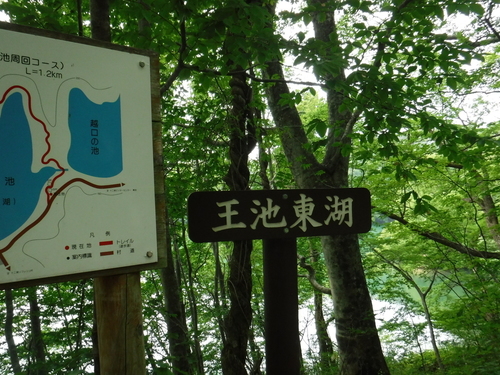 2016_0802_13353600.jpg
