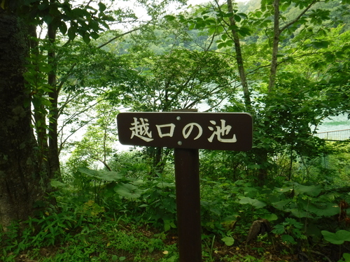 2016_0802_13383000.jpg