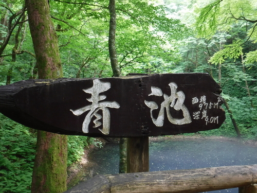 2016_0802_14261500.jpg