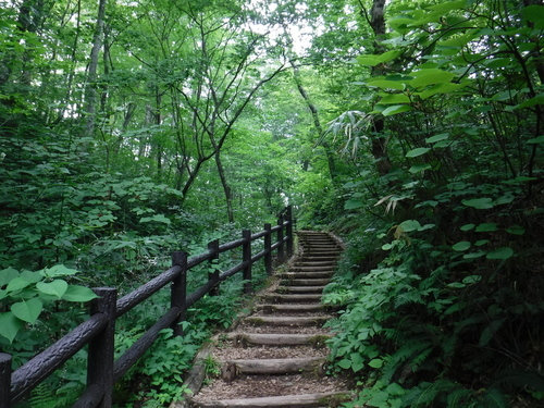 2016_0802_14304600.jpg