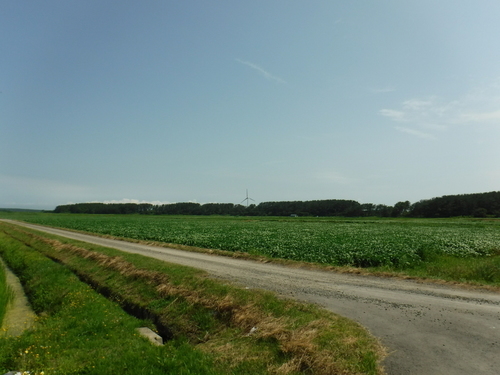 2016_0805_09275900.jpg
